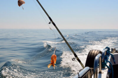 fishing-patternoster-rig-ocean-reef